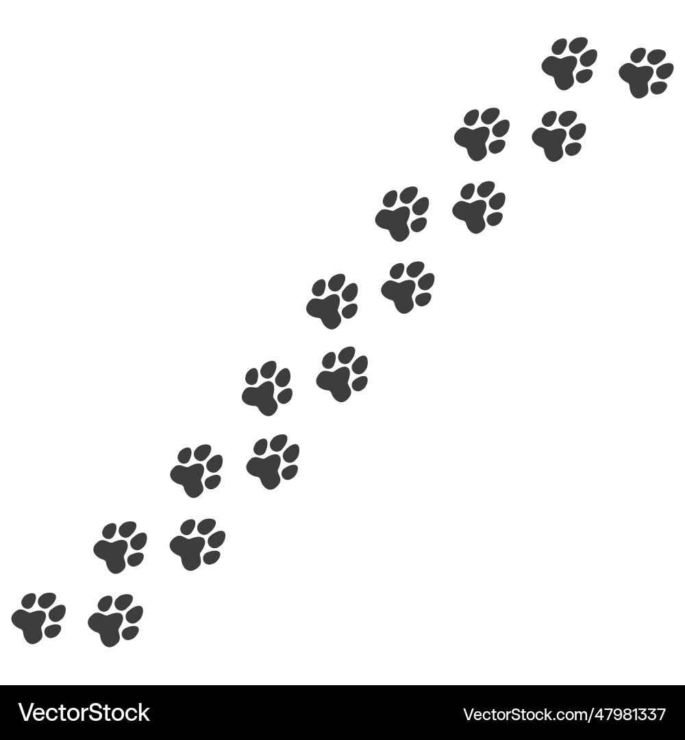 Cat or dog paw pet foot trail print Vector Image