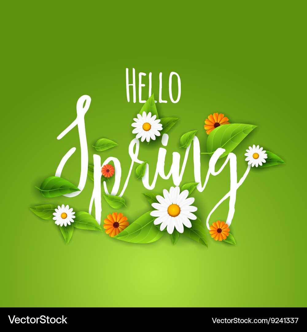 Fresh spring background poster with leafs Vector Image