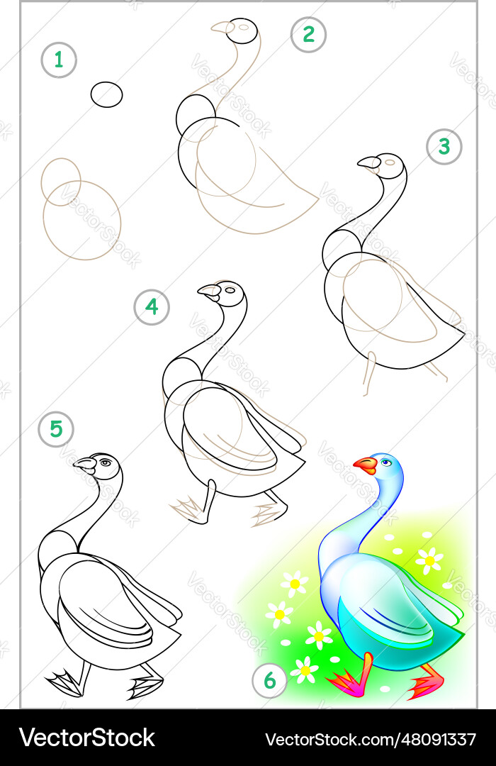 Page shows how to learn step by draw Page shows how to learn step by draw vector image