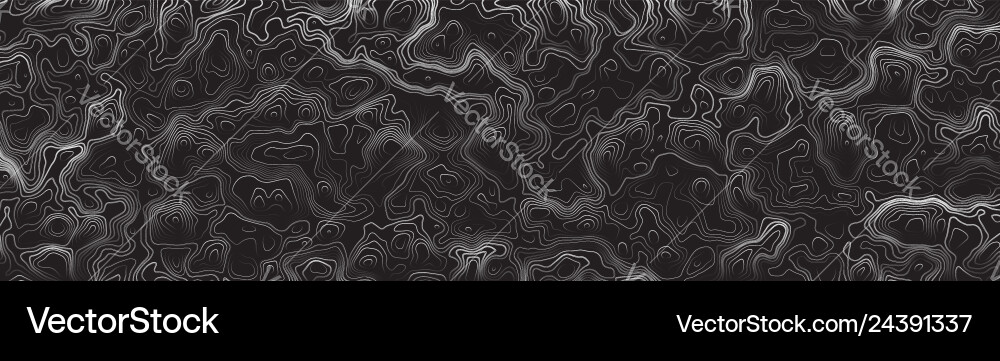 Topographic Contour Map Background vector image