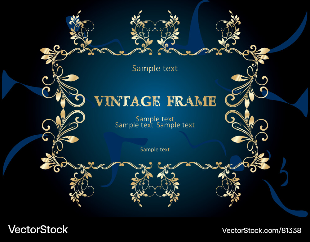 Elegant Vintage Frame vector image