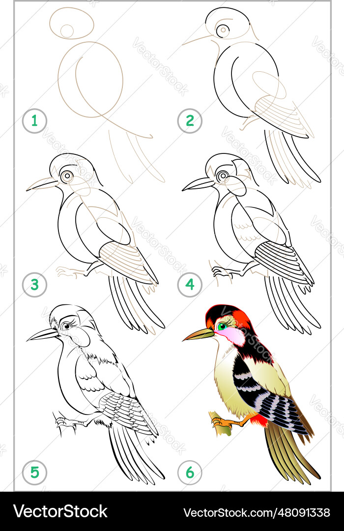 Page shows how to learn step by draw Page shows how to learn step by draw vector image