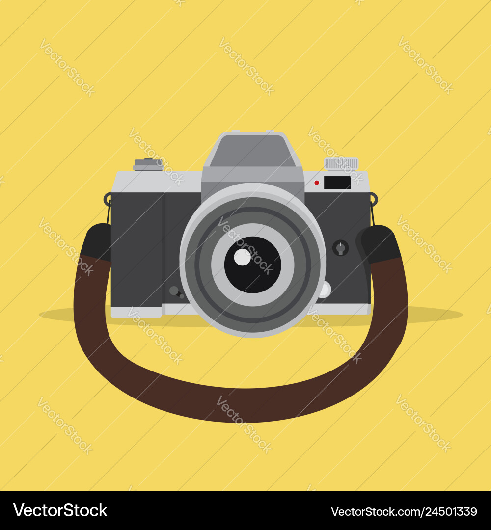 Camera in a flat style with strap Vector Image