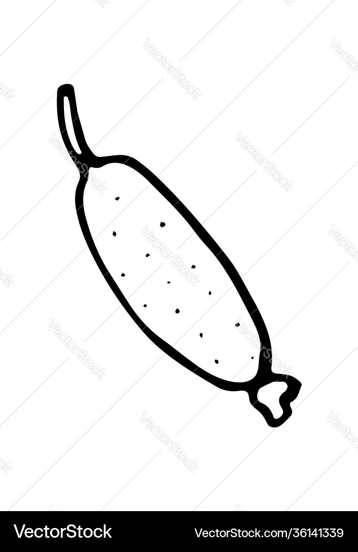 Isolated element vector image