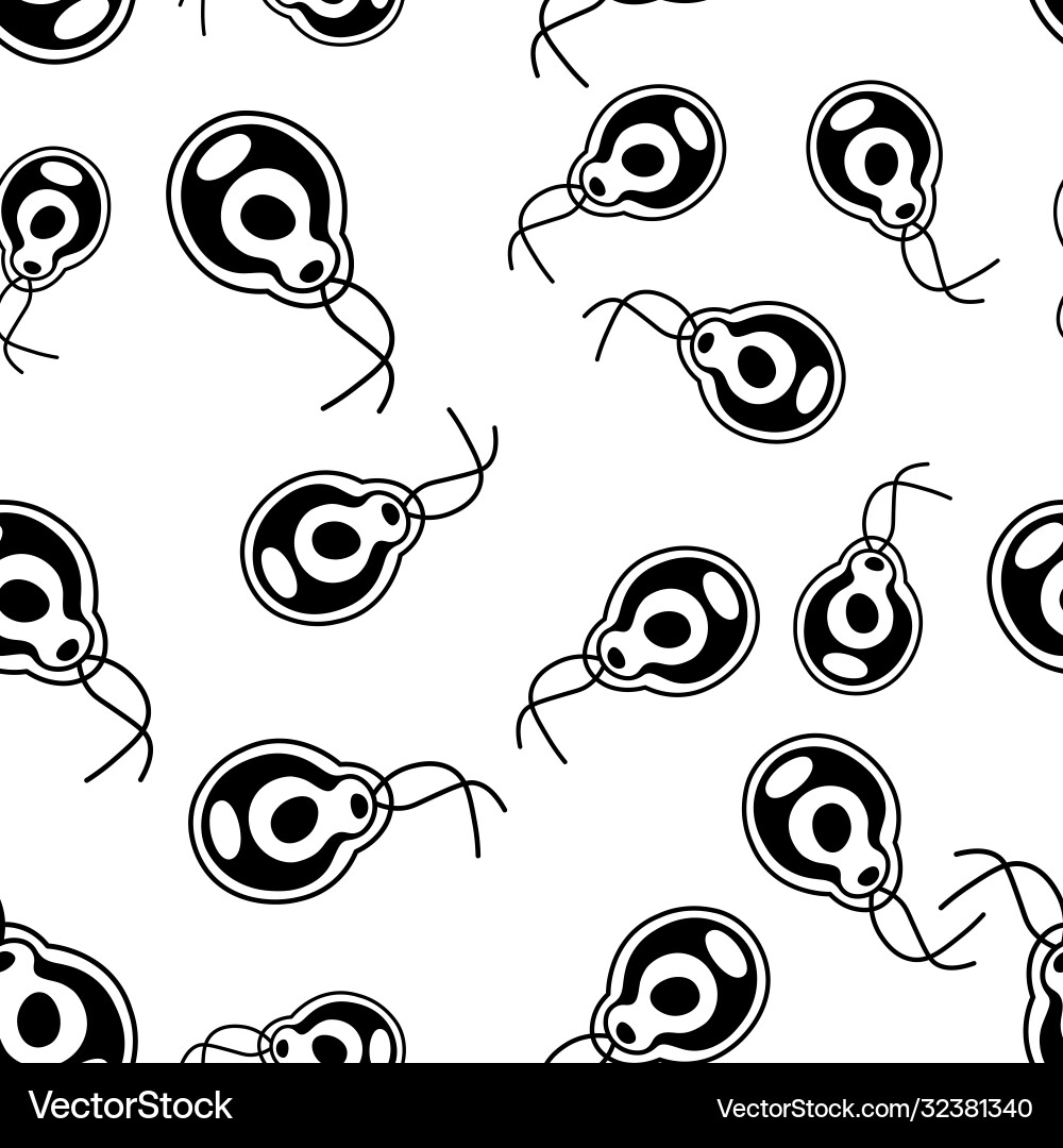 Seamless pattern with bodo Vector Image