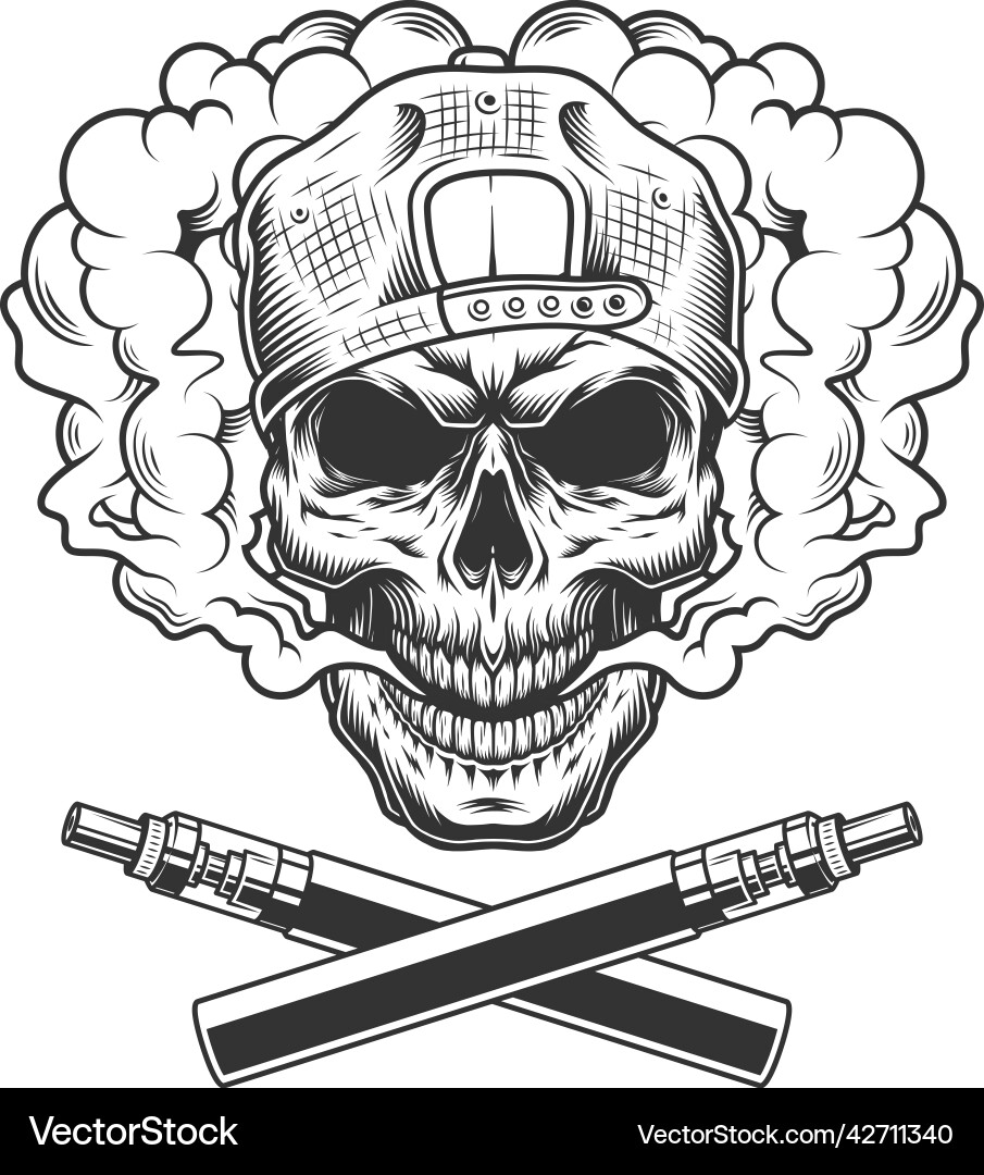 Vintage hipster skull wearing cap Vector Image