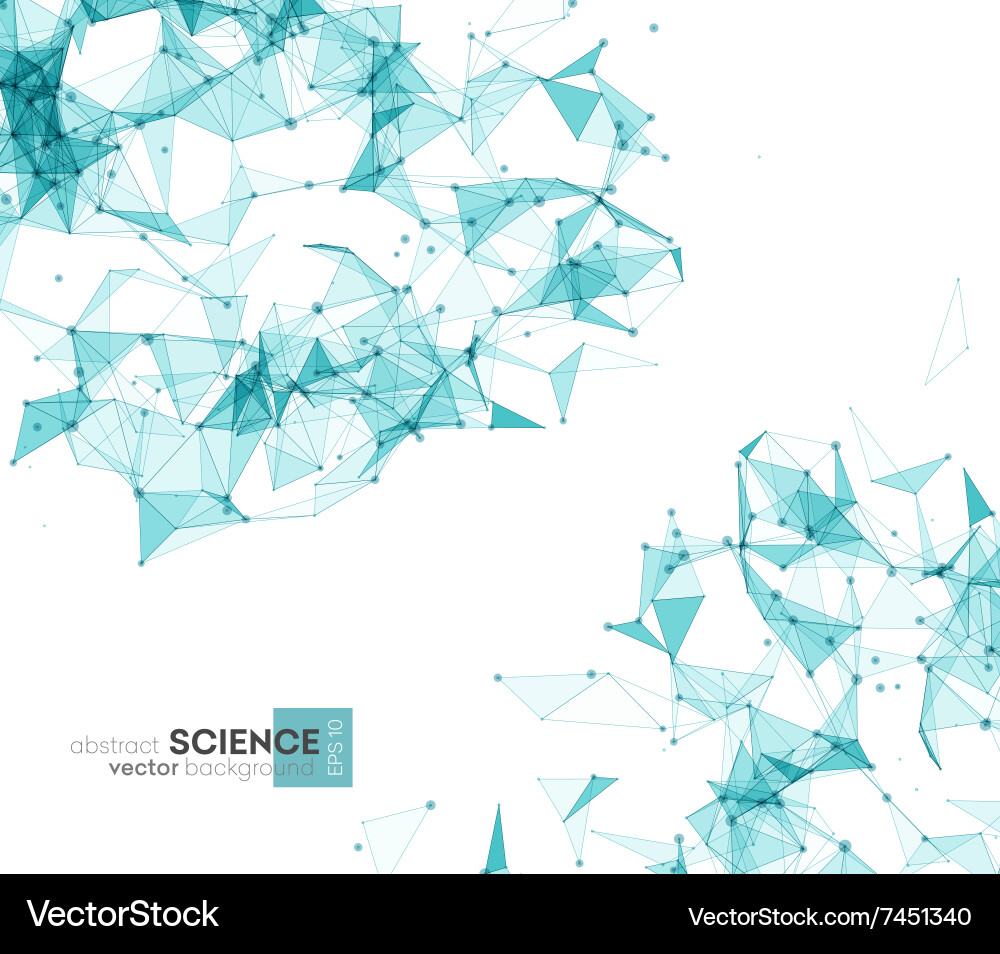 Wireframe mesh polygonal background vector image