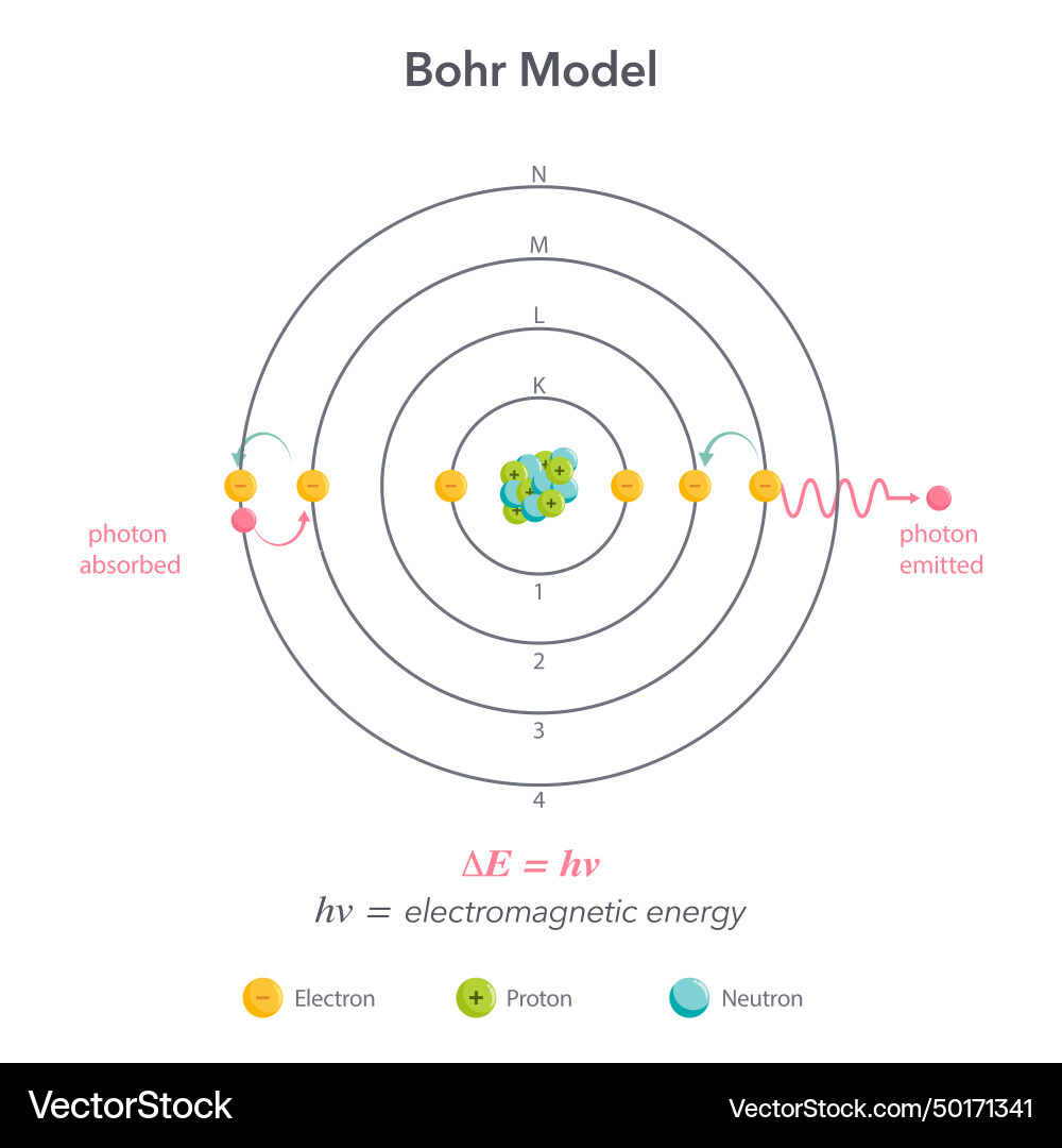 Bohr model Royalty Free Vector Image - VectorStock