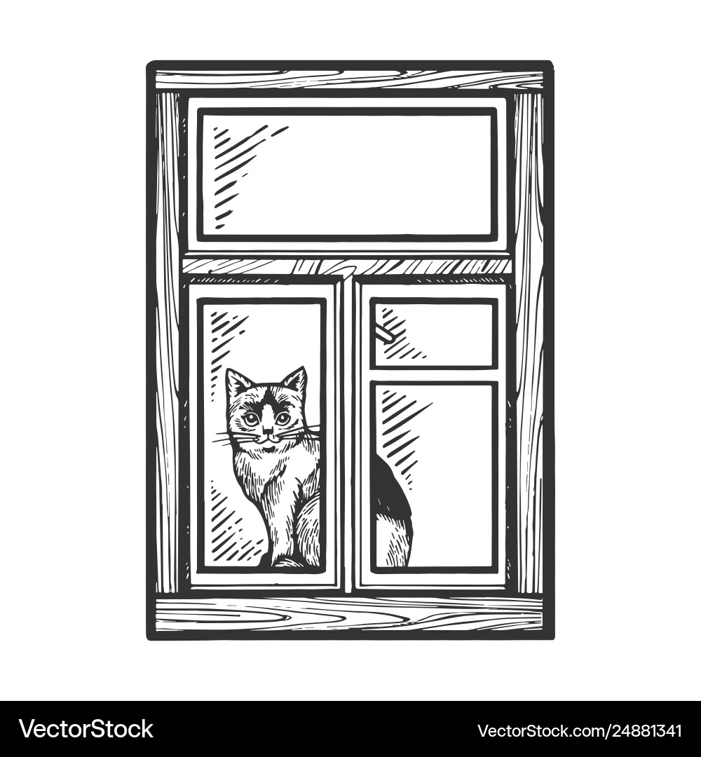 Cat at Window - Scratchboard Style Vector Image