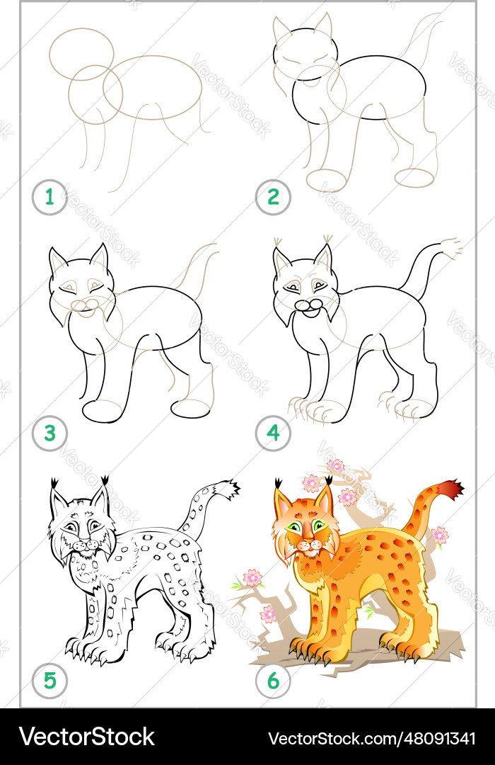 Page shows how to learn step by draw Page shows how to learn step by draw Vector Image
