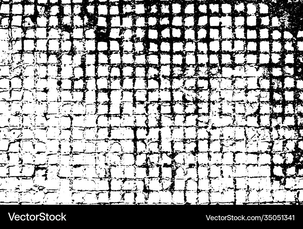 Rectangular cellular texture for your design Rectangular cellular texture for your design vector image