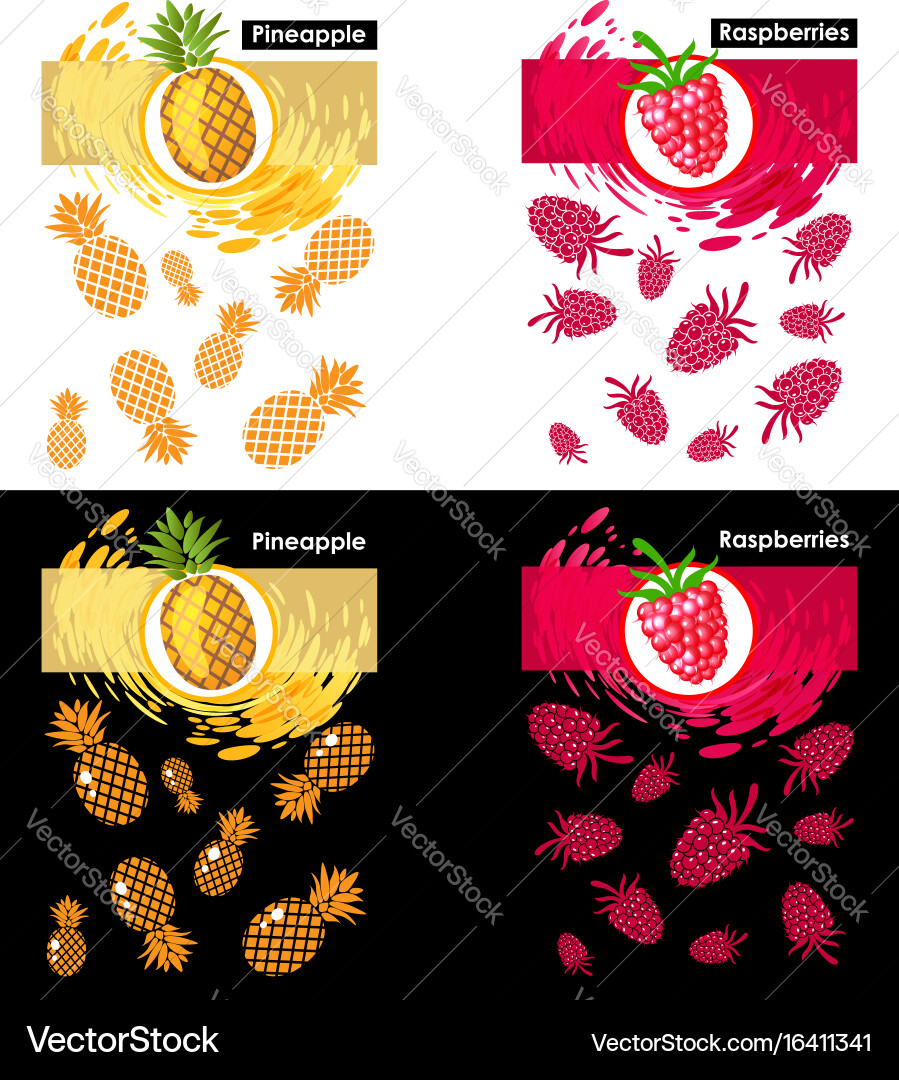 Set template raspberry and pineapple fruits vector image