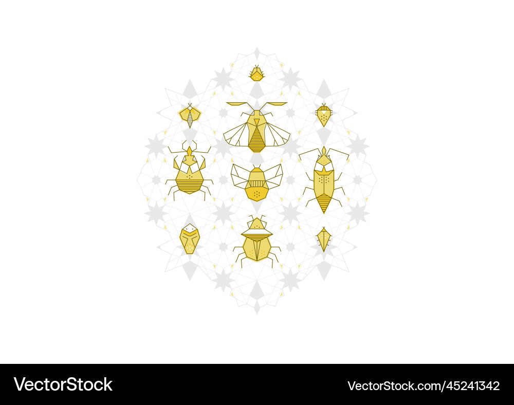 Light geometric pattern beetles in spider web Vector Image