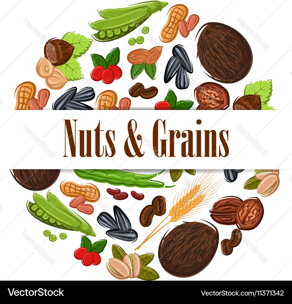 Nutritious nuts and grains in round shape emblem vector image