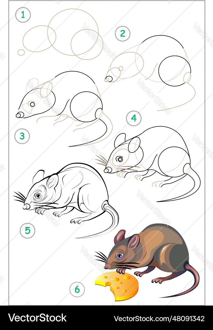 Page shows how to learn step by draw Page shows how to learn step by draw vector image