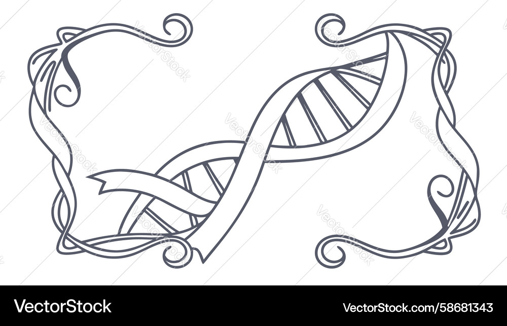 Dna helix in scrollwork frame with flowing ribbon Vector Image