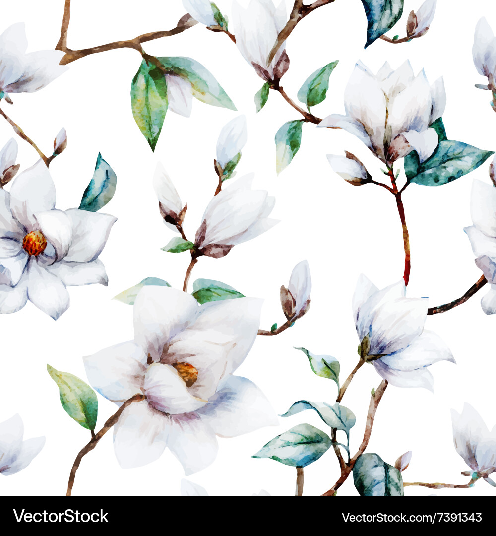 Magnolia Watercolor Floral Pattern Vector Image
