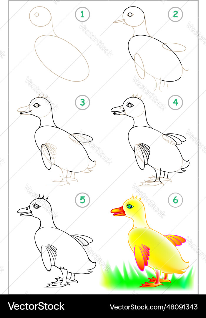 Page shows how to learn step by draw vector image