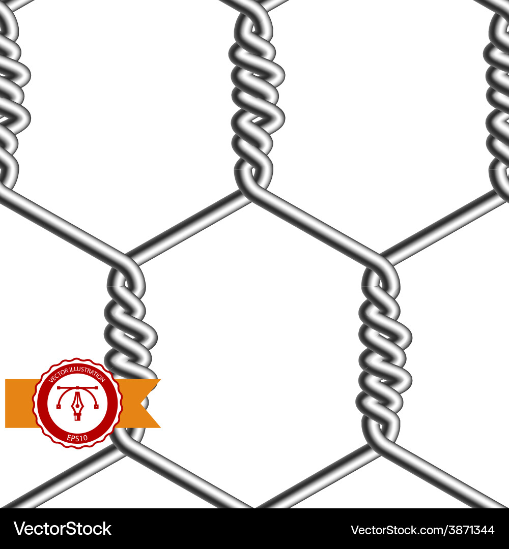 Chicken Wire Mesh Net vector image