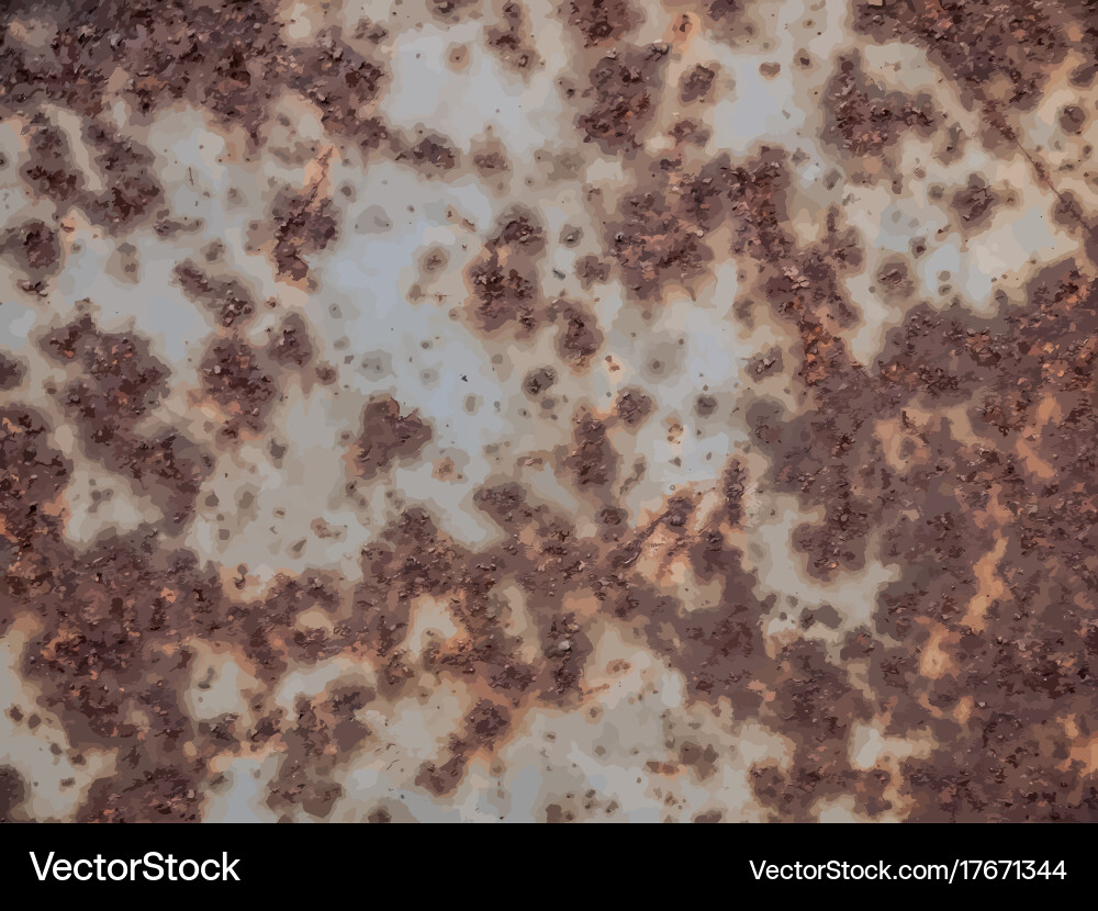 Grunge Scratch Texture Overlay vector image