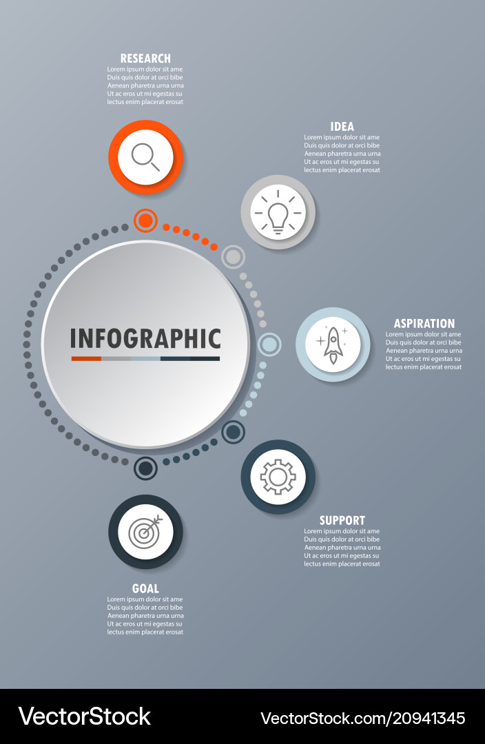 Data Visualization Process Chart Vector Image