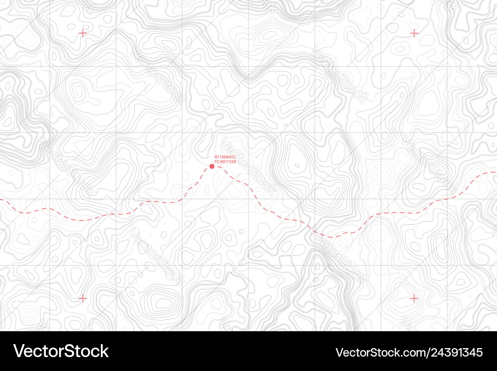 Topographic Map with Route & Coordinates Vector Image