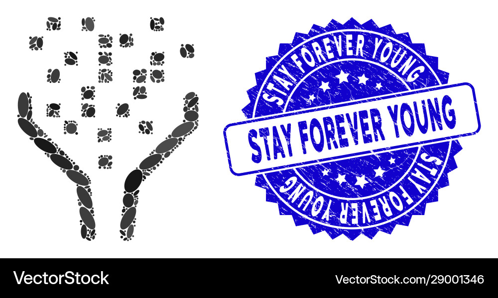 Collage data processing funnel icon with textured Vector Image