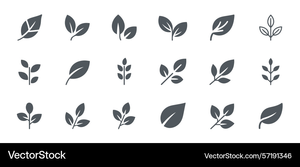 Collection of simple leaf and branch icons Vector Image