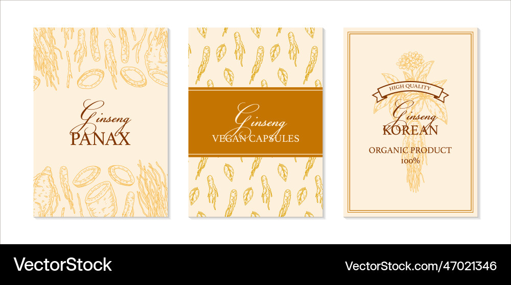 Ginseng design hand drawn botanical in sketch Vector Image