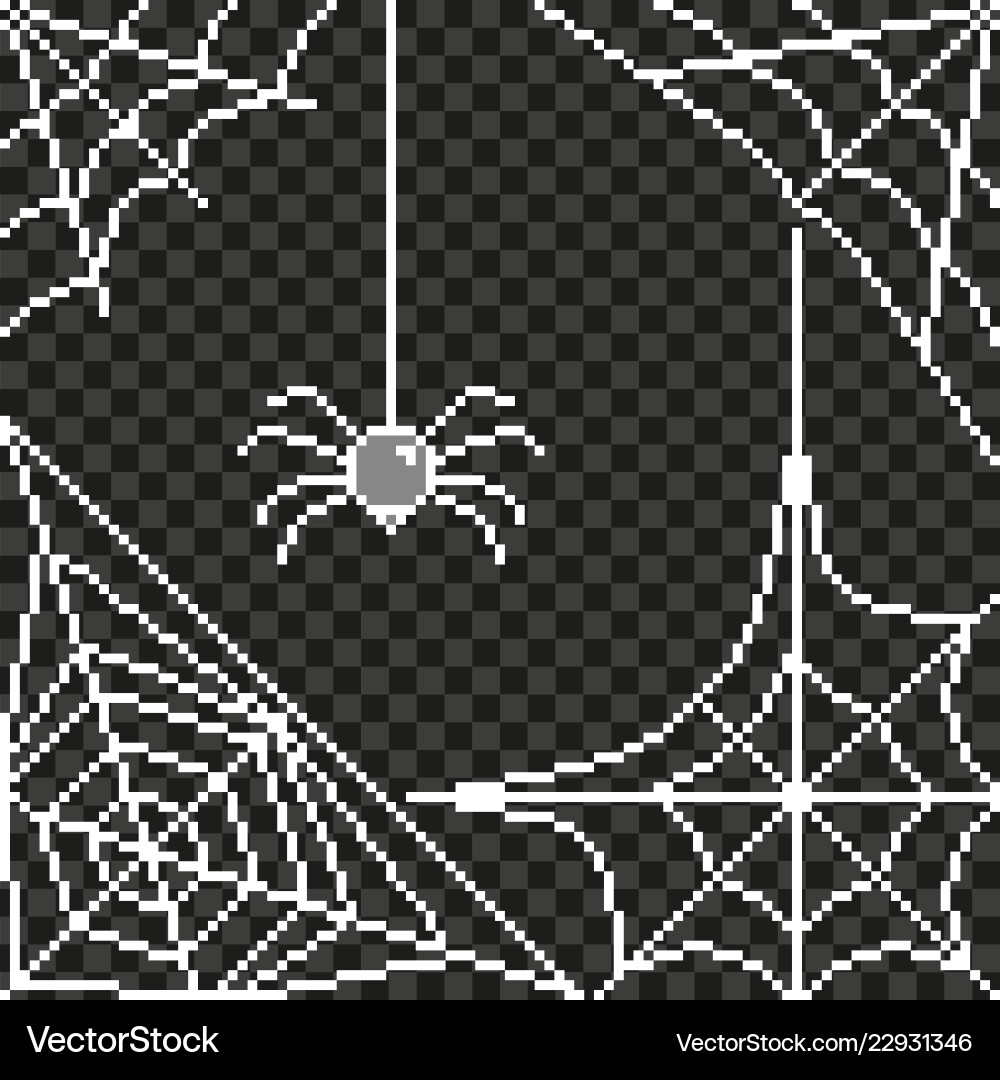 Pixel spider web frame detailed isolated Vector Image