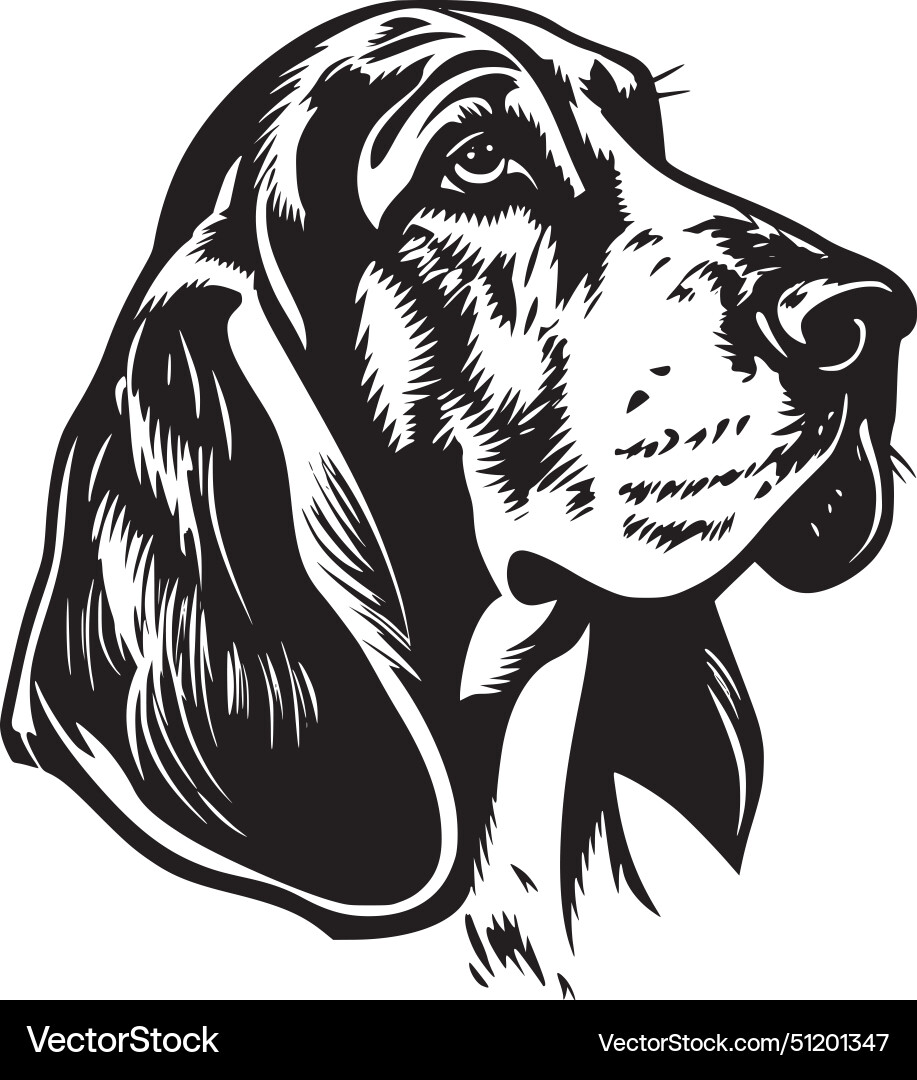 Basset hound - black and white Royalty Free Vector Image