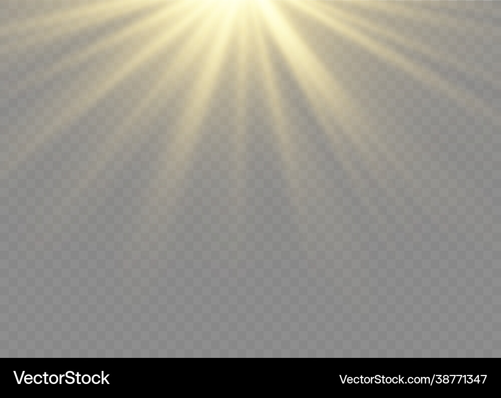Sunlight lens flash light effect sun ray Vector Image