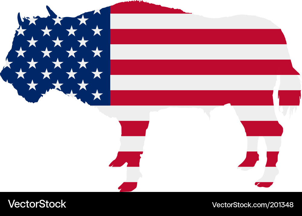 Buffalo in Stars and Stripes vector image