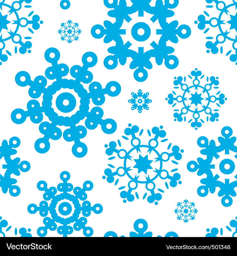 Winter Snowflake Pattern vector image