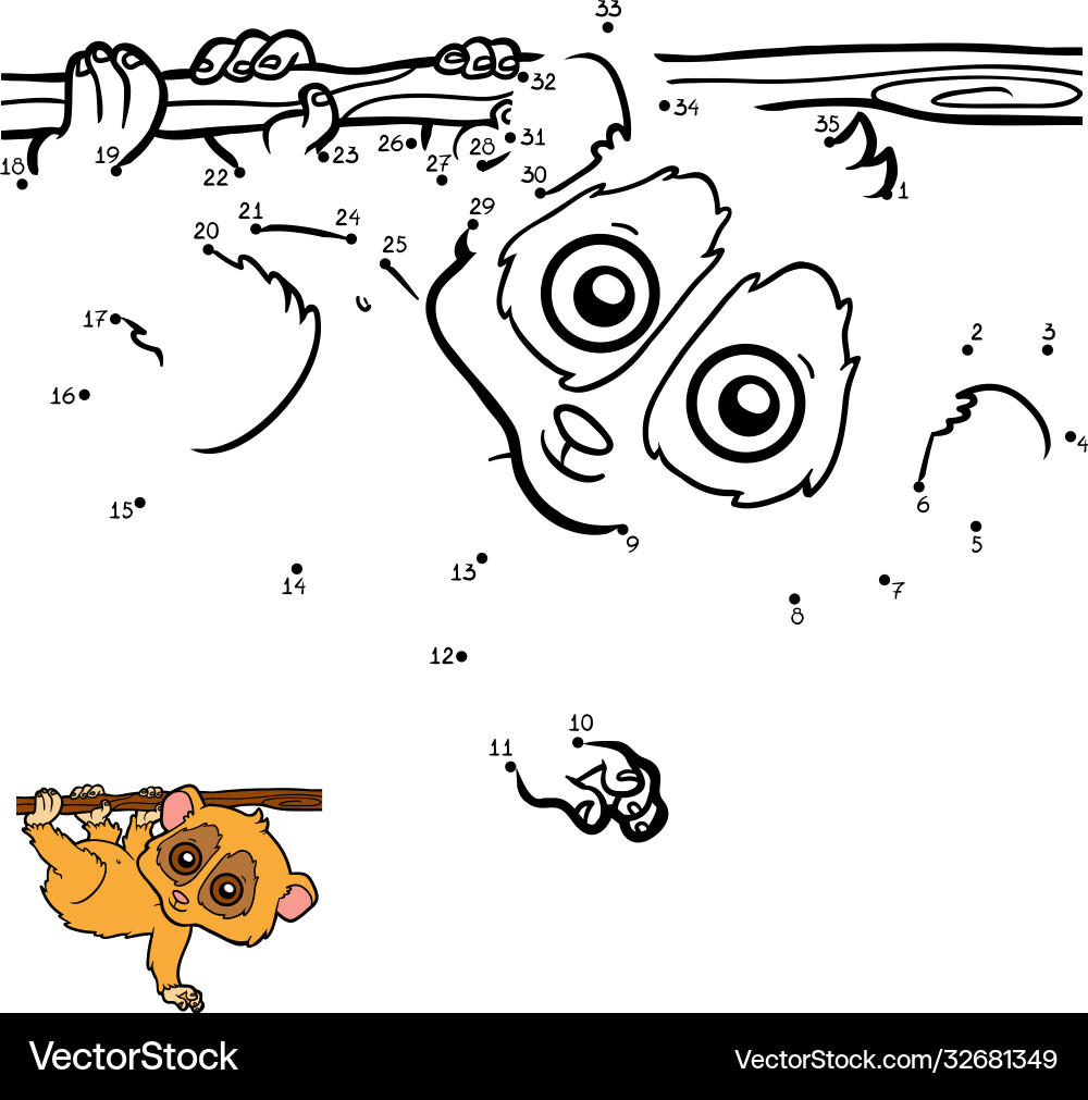 Numbers game pygmy slow loris Vector Image