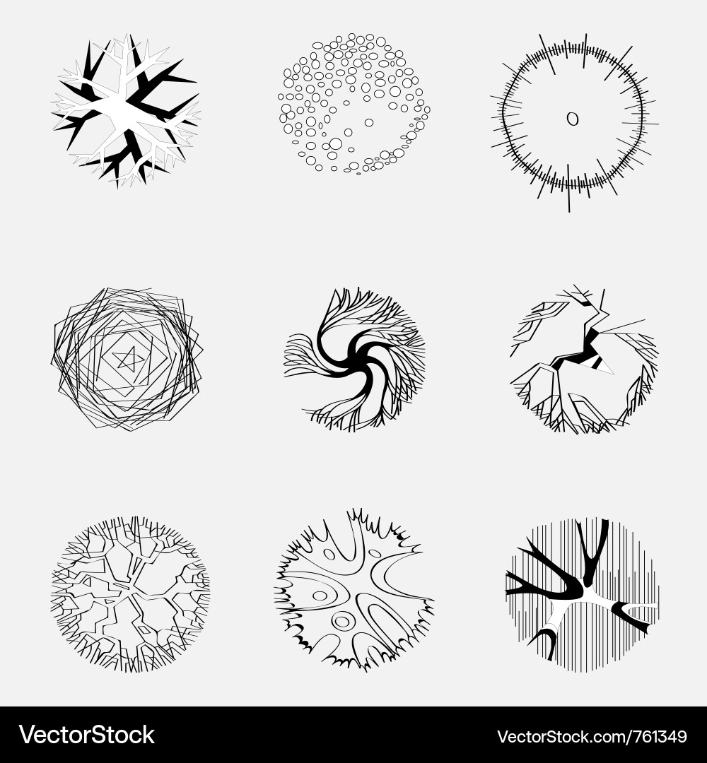 Tree Plan Icons Royalty Free Vector Image - VectorStock