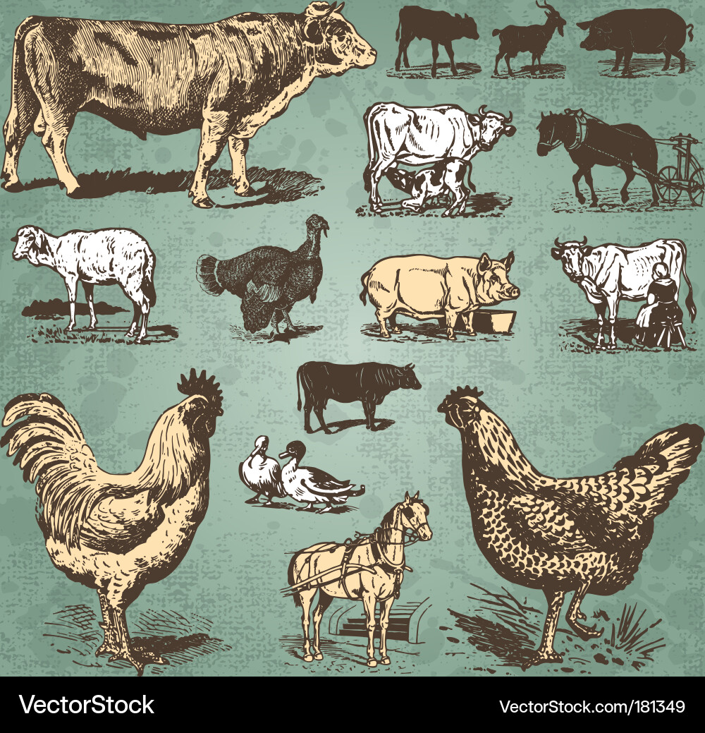 Vintage Farm Animals Collection vector image