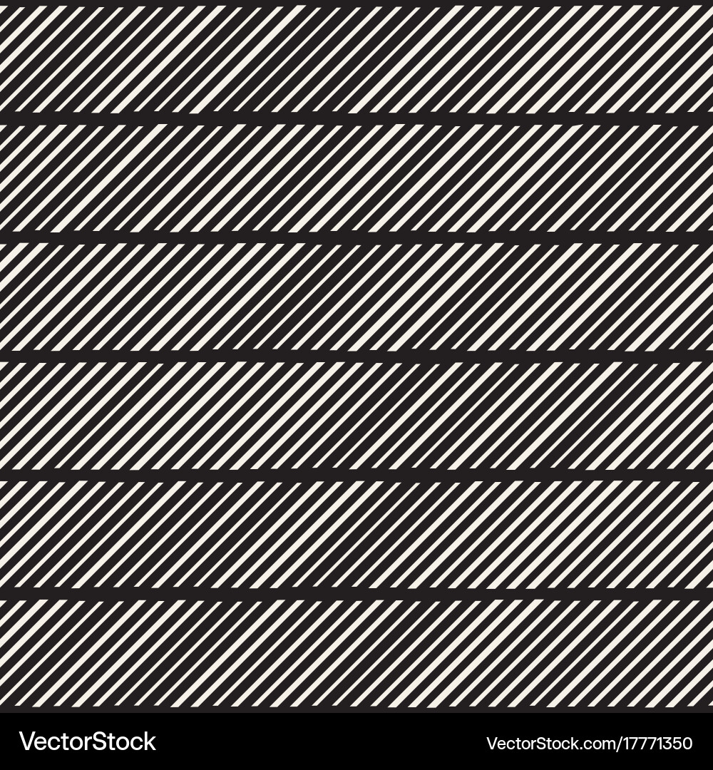 Black and white irregular dashed lines pattern vector image