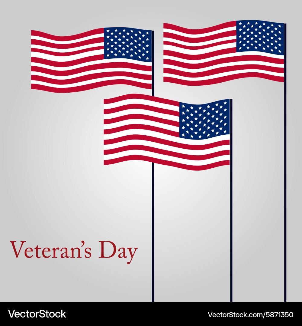 Colored background with text for veterans day Vector Image
