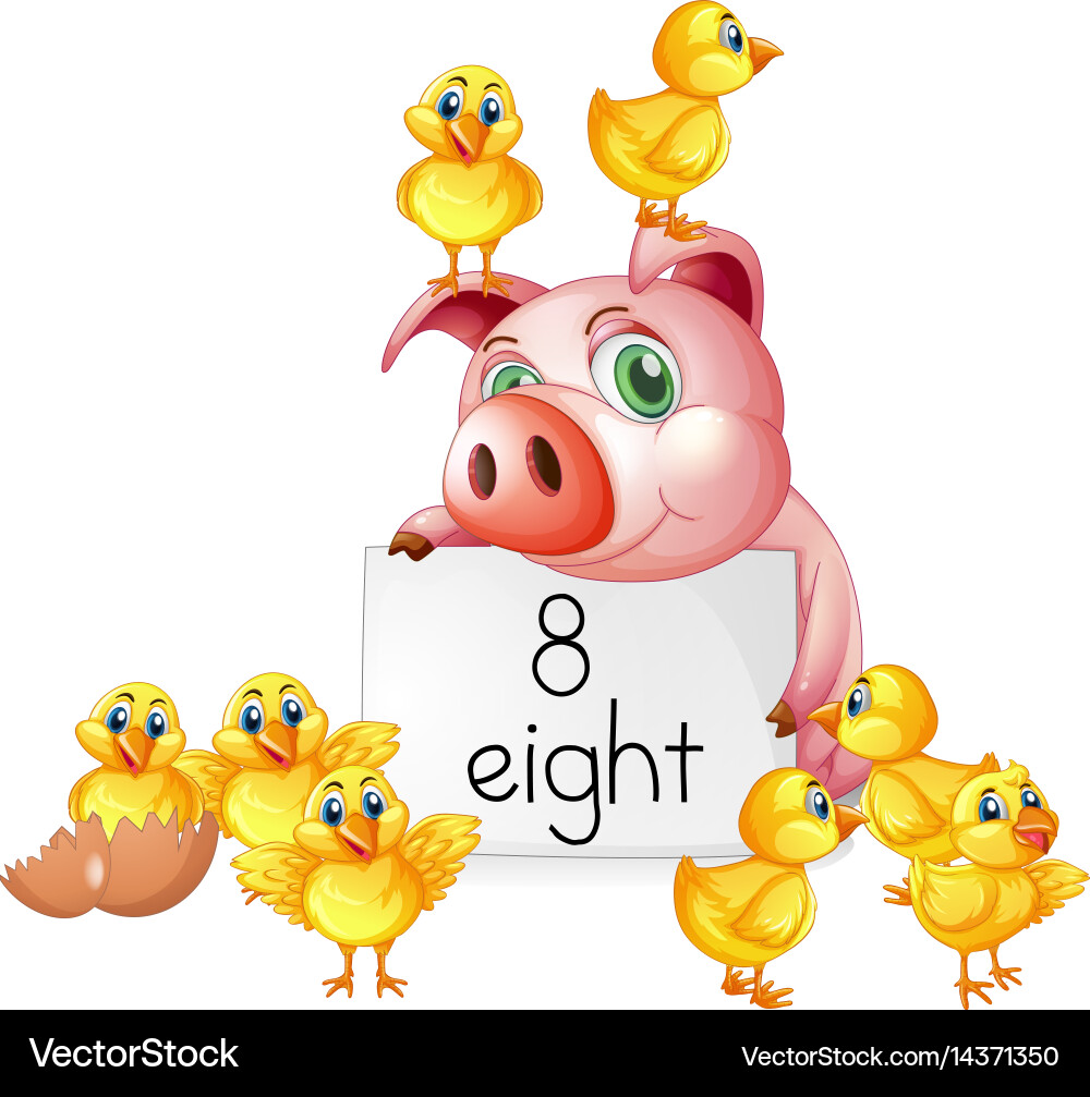 Counting number eight with pig and chicks vector image