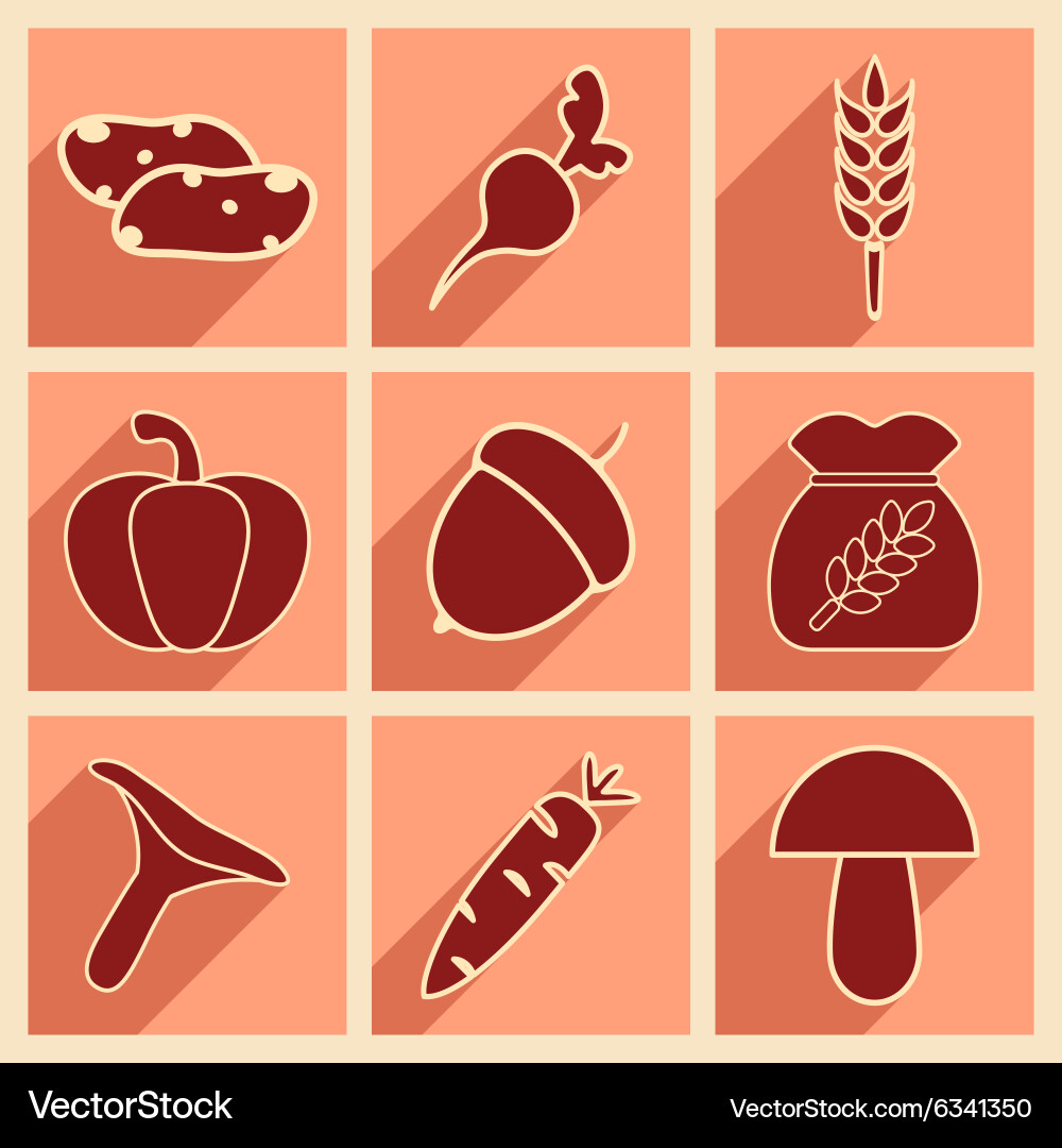 Flat with shadow concept and mobile application vector image