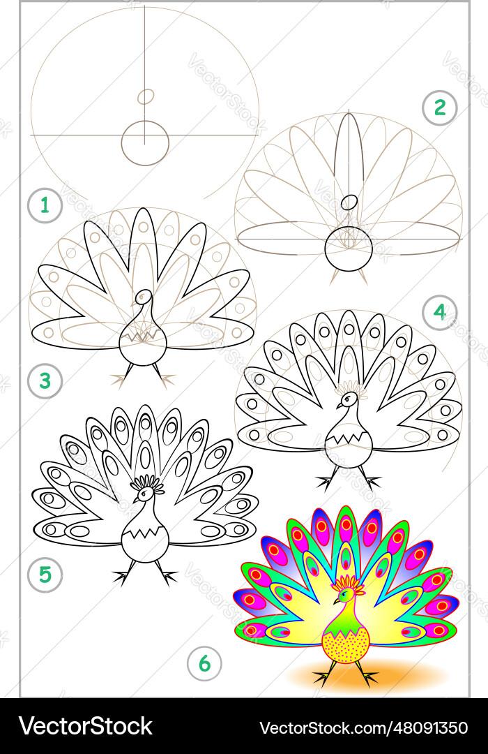 Page shows how to learn step by draw Page shows how to learn step by draw vector image