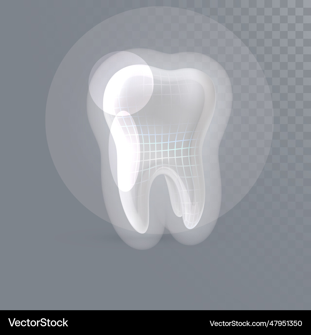 Realistic 3d tooth with shiny wireframe structure Vector Image