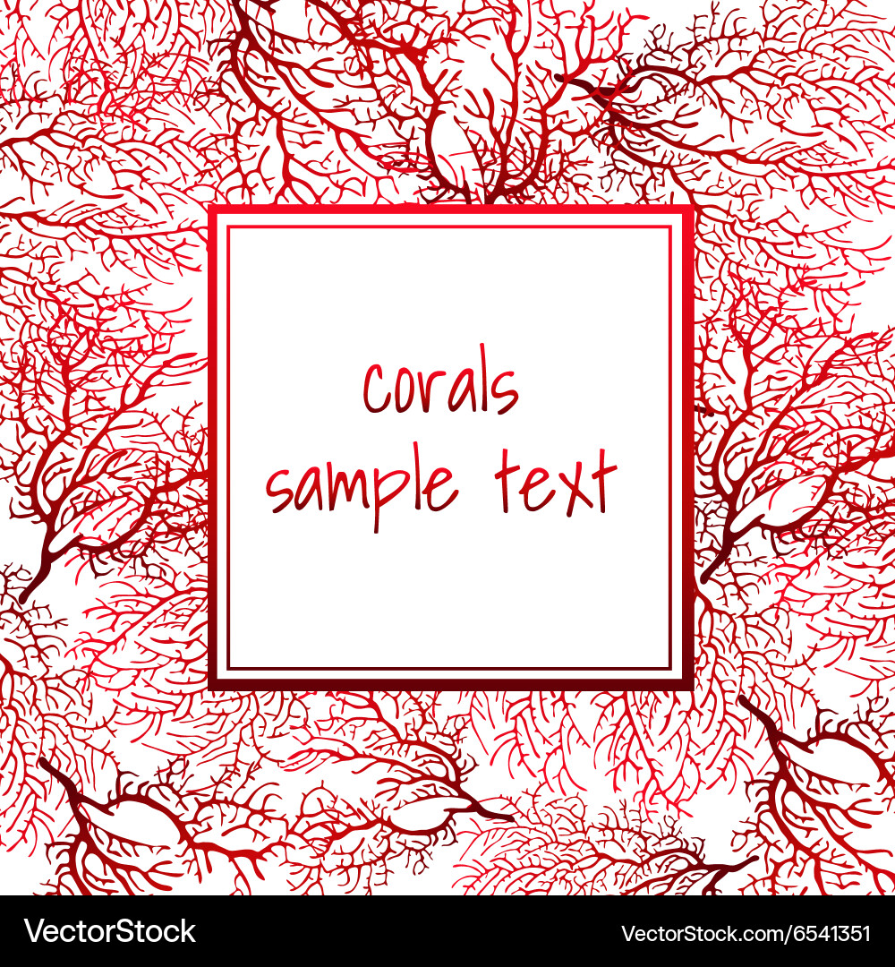 Card with red coral and frame for text Vector Image