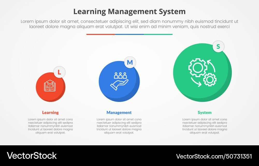 Lms learning management system infographic Lms learning management system infographic vector image