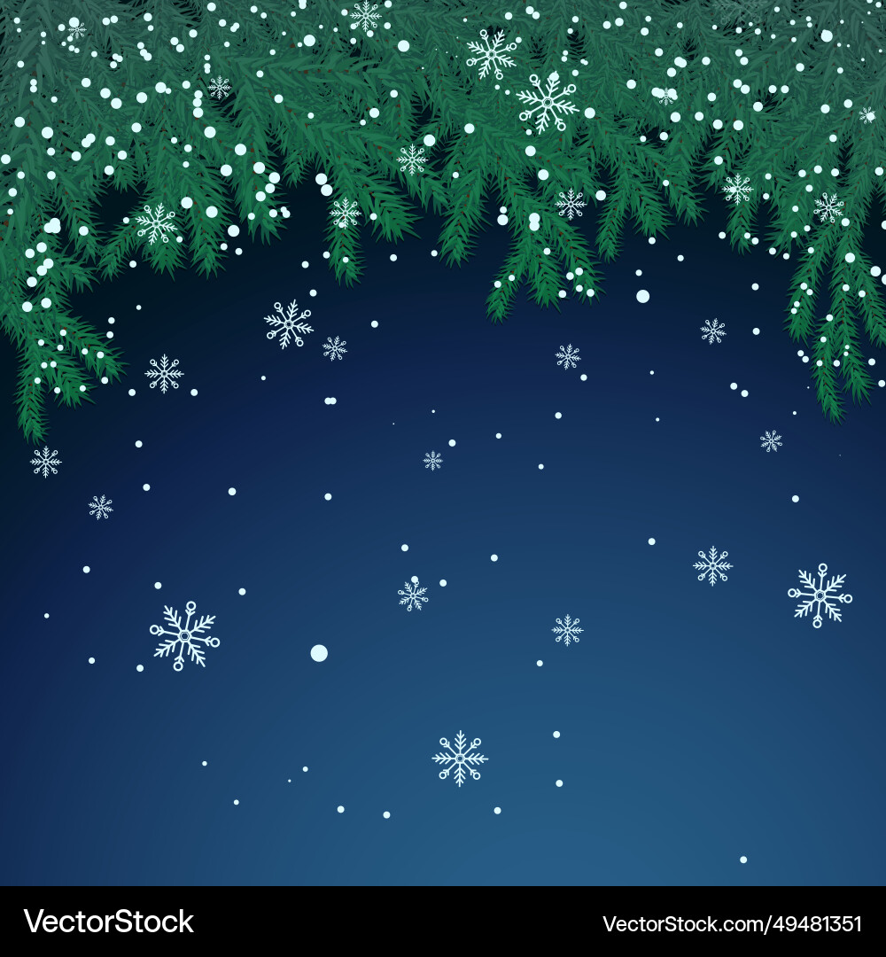 Winter background with spruce branch and snowflake Winter background with spruce branch and snowflake Vector Image
