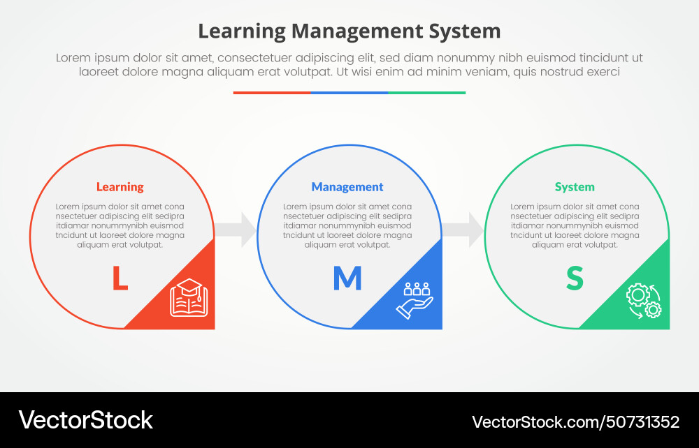 Lms learning management system infographic vector image