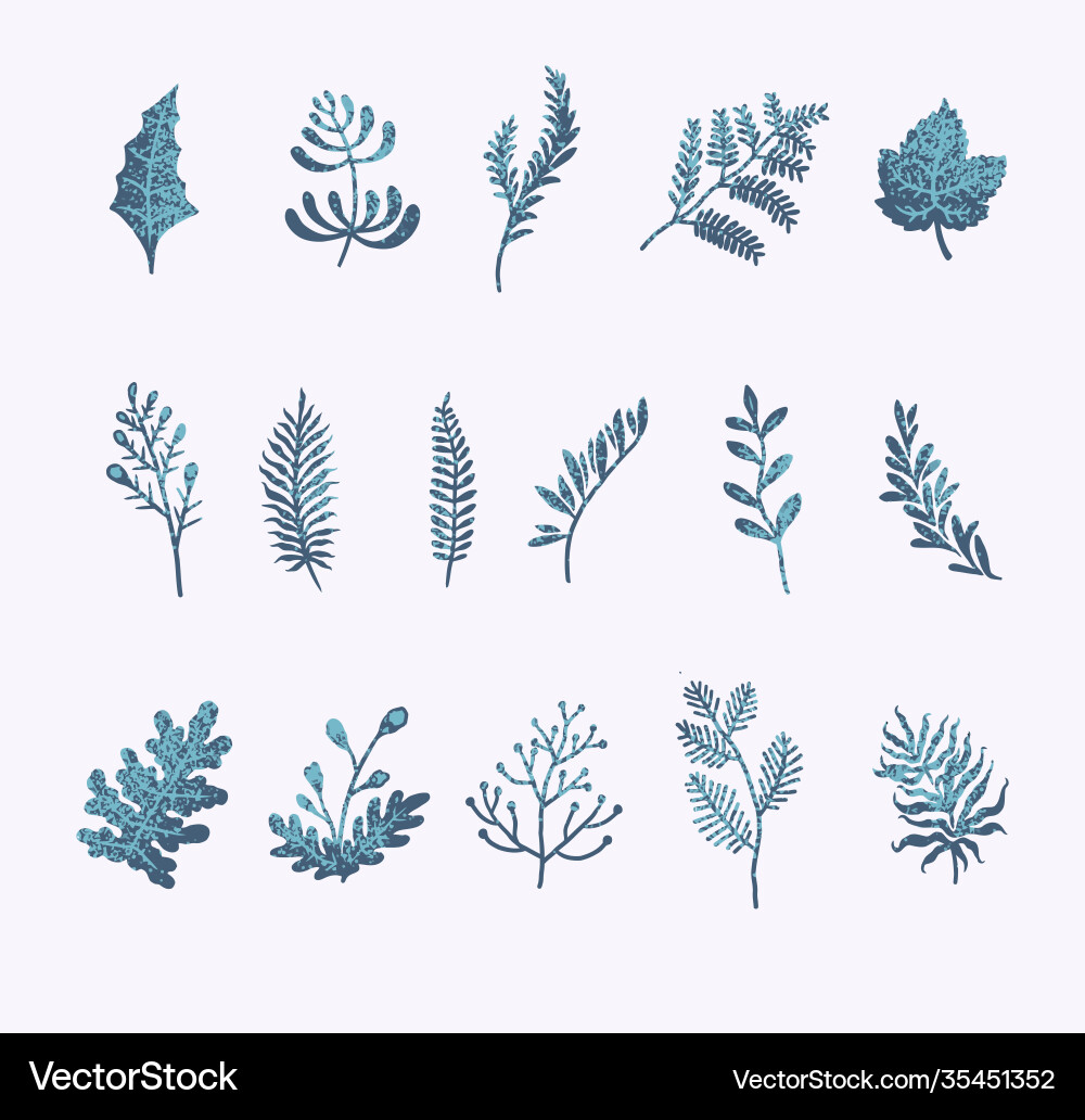 Winter Floral Branch Set Vector Image