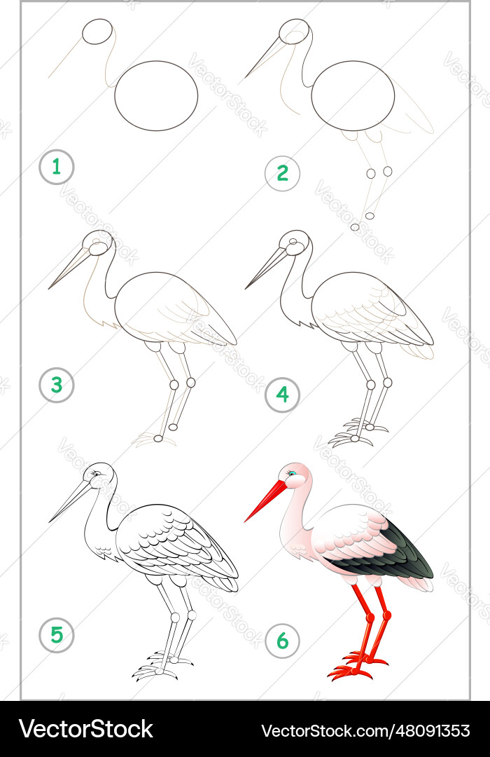 Page shows how to learn step by draw Page shows how to learn step by draw vector image