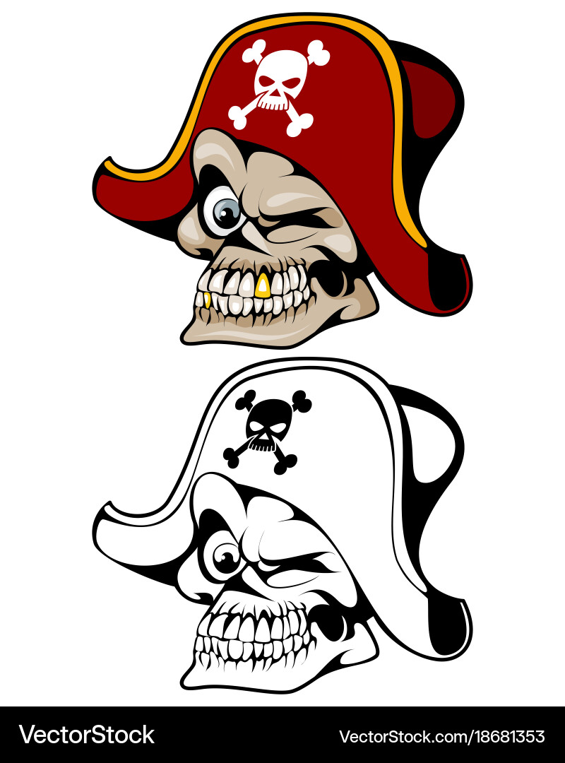Pirate Skull with Hat Vector Image